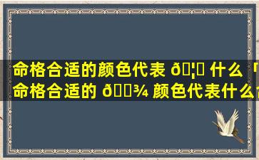 命格合适的颜色代表 🦅 什么「命格合适的 🌾 颜色代表什么含义」